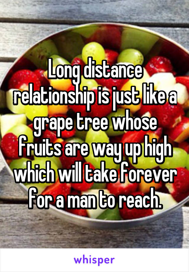 Long distance relationship is just like a grape tree whose fruits are way up high which will take forever for a man to reach.
