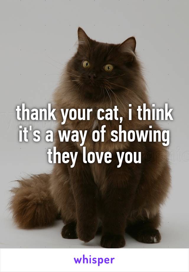 thank your cat, i think it's a way of showing they love you