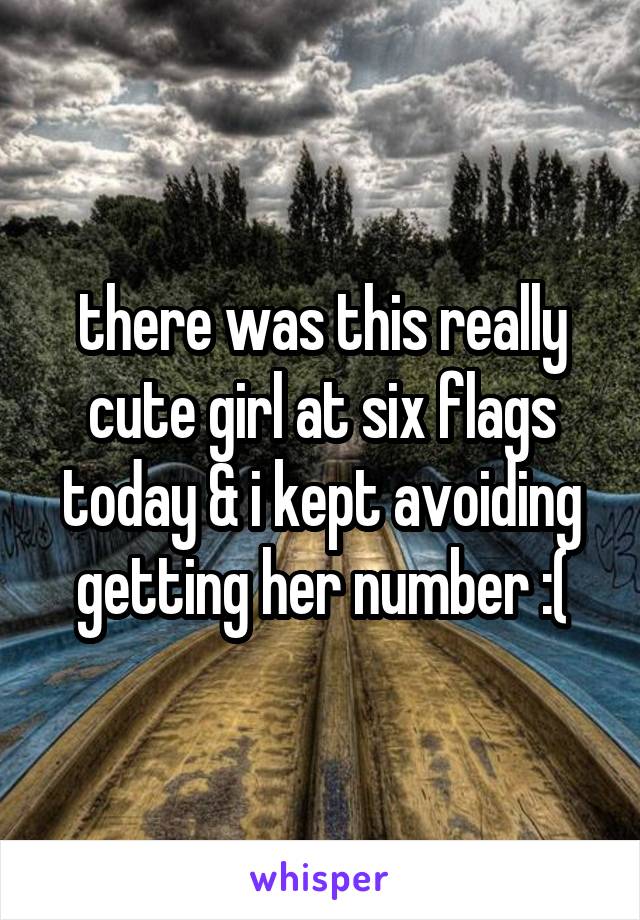 there was this really cute girl at six flags today & i kept avoiding getting her number :(