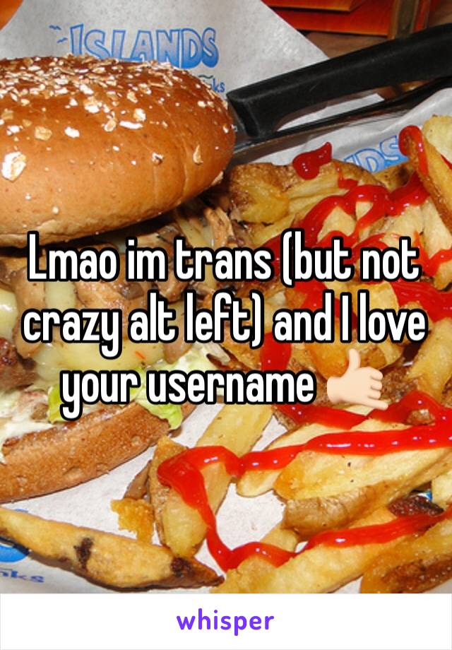 Lmao im trans (but not crazy alt left) and I love your username 🤙🏻