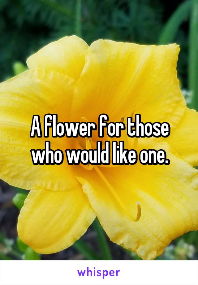 A flower for those who would like one.