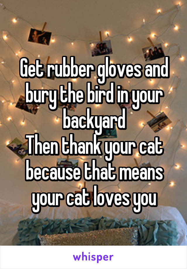 Get rubber gloves and bury the bird in your backyard
Then thank your cat because that means your cat loves you