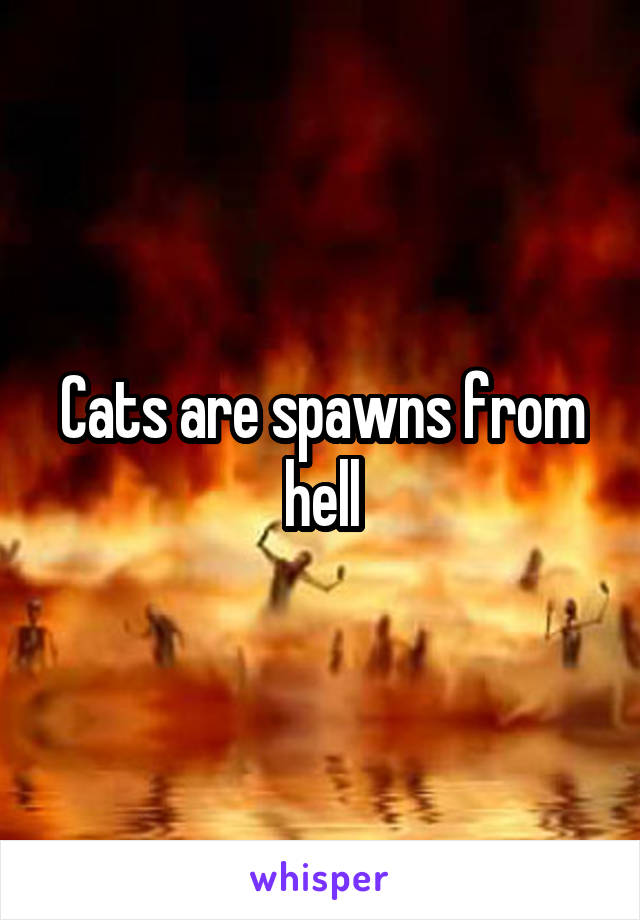 Cats are spawns from hell