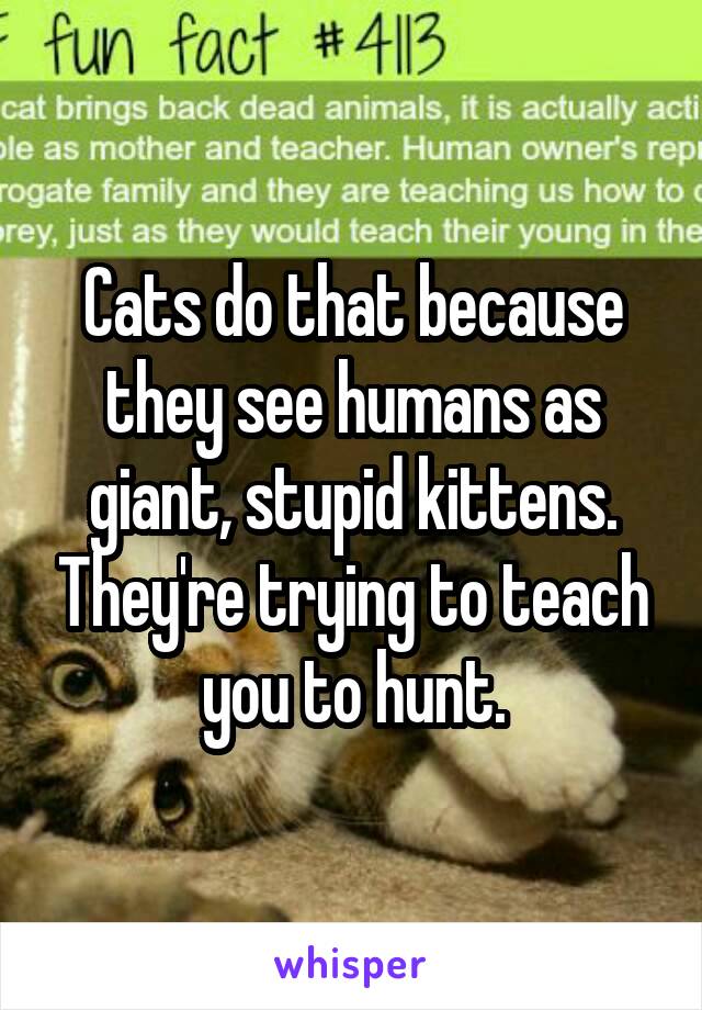 Cats do that because they see humans as giant, stupid kittens. They're trying to teach you to hunt.