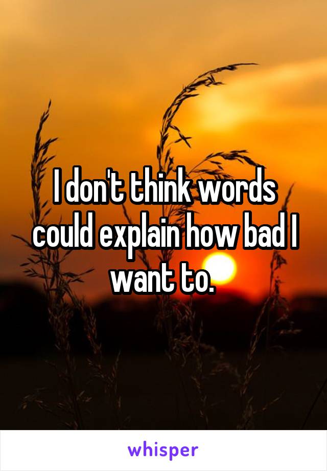 I don't think words could explain how bad I want to. 