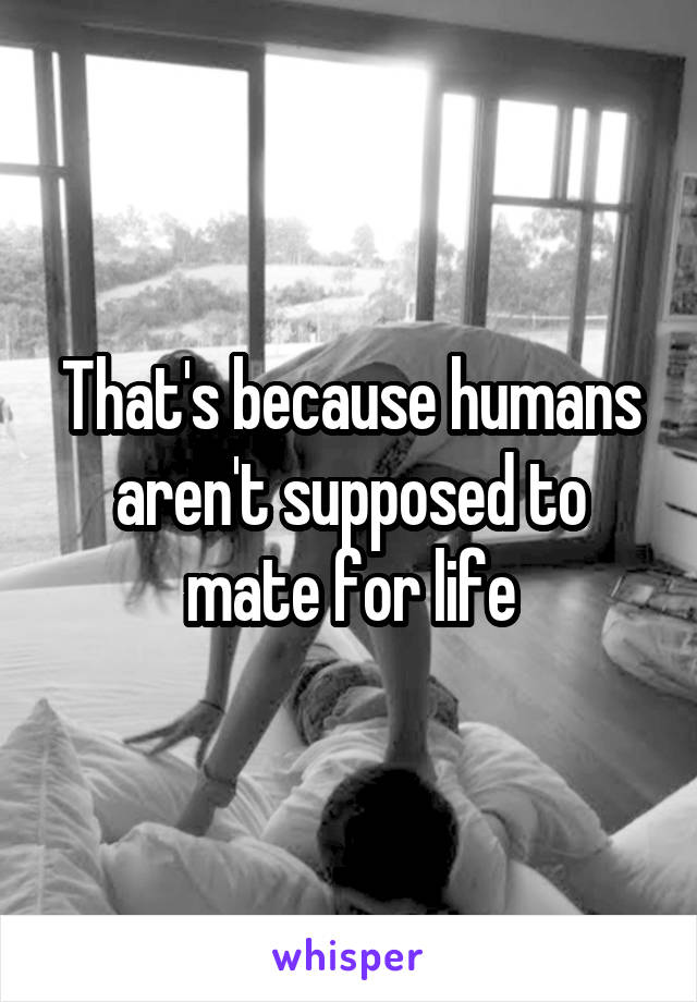 That's because humans aren't supposed to mate for life