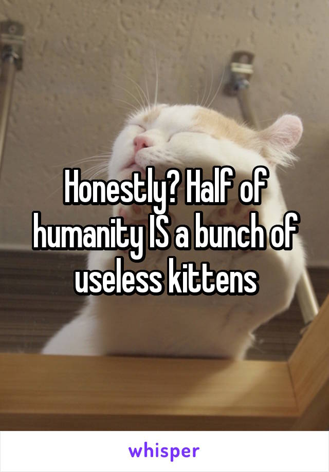 Honestly? Half of humanity IS a bunch of useless kittens