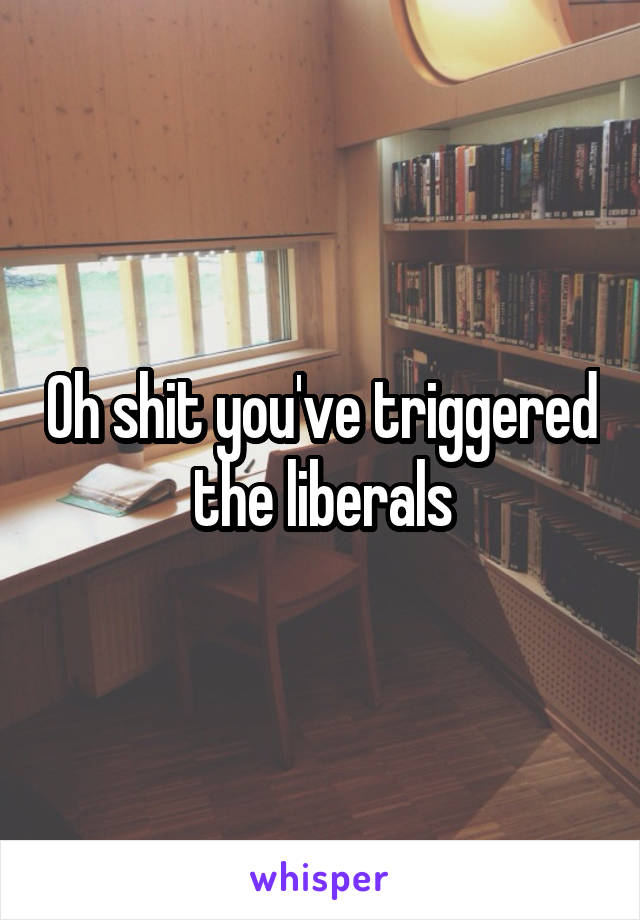 Oh shit you've triggered the liberals
