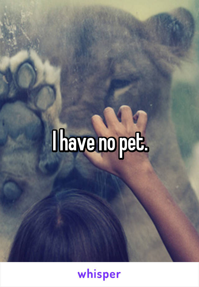 I have no pet.