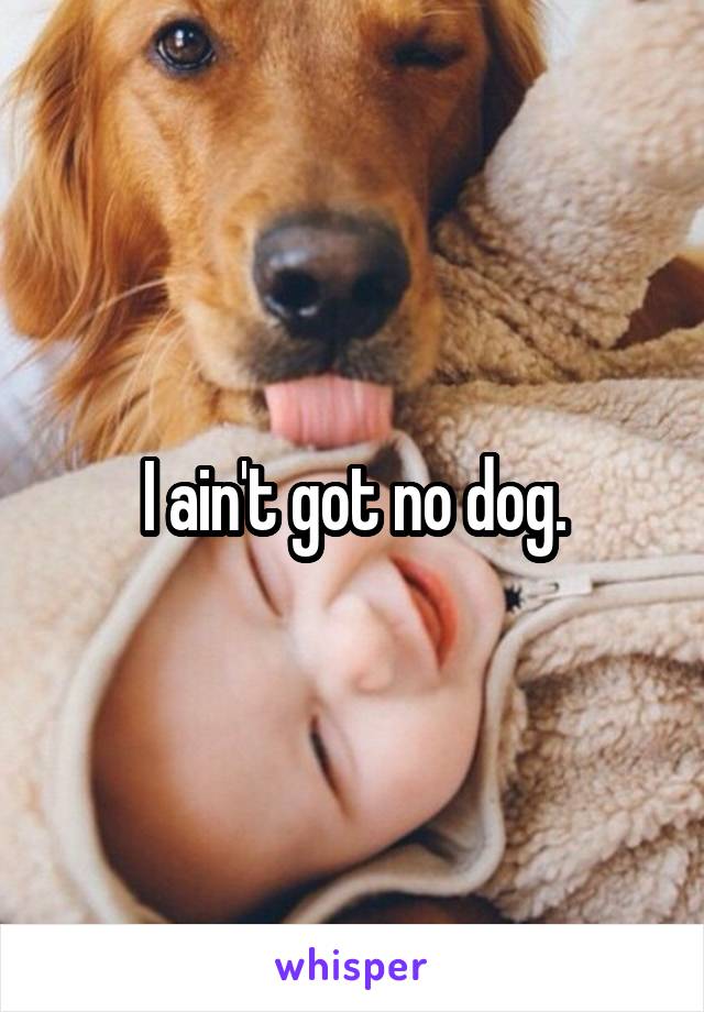 I ain't got no dog.