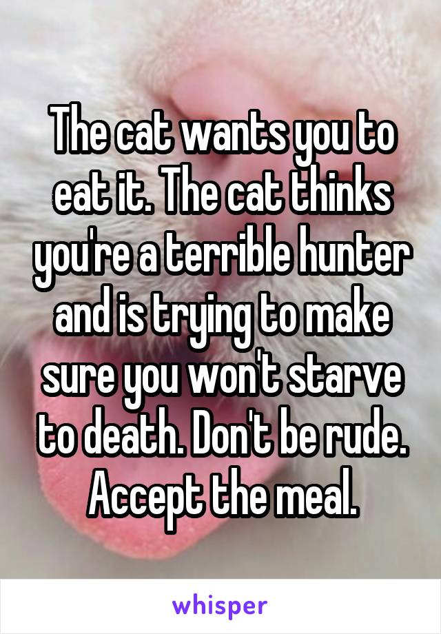 The cat wants you to eat it. The cat thinks you're a terrible hunter and is trying to make sure you won't starve to death. Don't be rude. Accept the meal.
