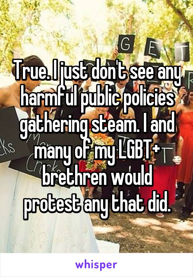 True. I just don't see any harmful public policies gathering steam. I and many of my LGBT+ brethren would protest any that did.