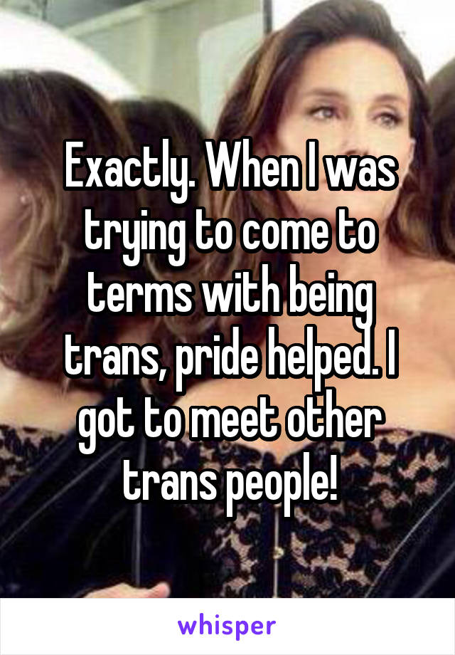 Exactly. When I was trying to come to terms with being trans, pride helped. I got to meet other trans people!