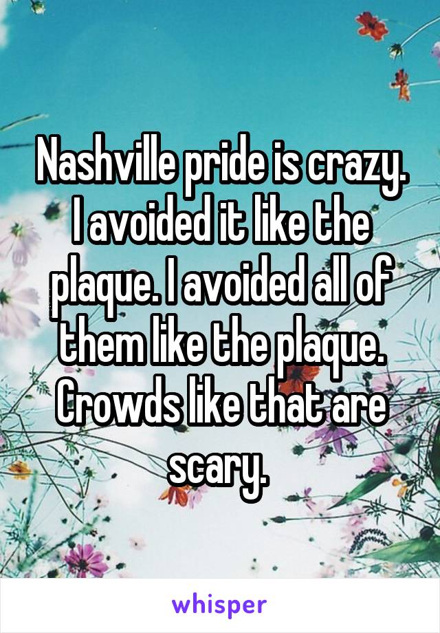 Nashville pride is crazy. I avoided it like the plaque. I avoided all of them like the plaque. Crowds like that are scary. 