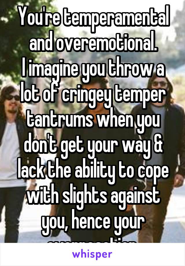 You're temperamental and overemotional.
I imagine you throw a lot of cringey temper tantrums when you don't get your way & lack the ability to cope with slights against you, hence your overreaction.