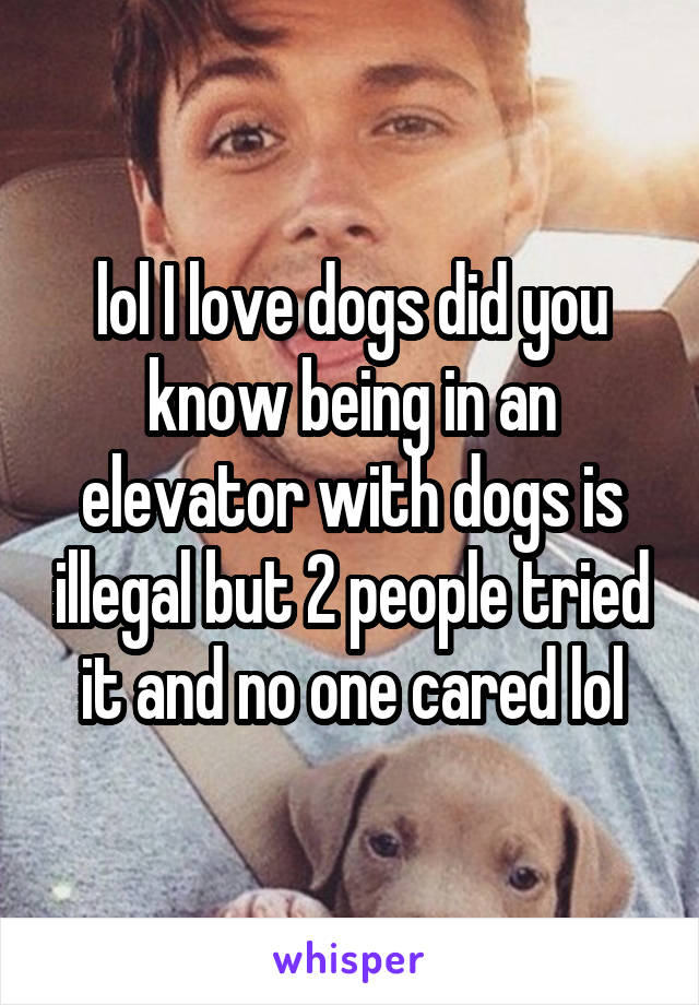 lol I love dogs did you know being in an elevator with dogs is illegal but 2 people tried it and no one cared lol