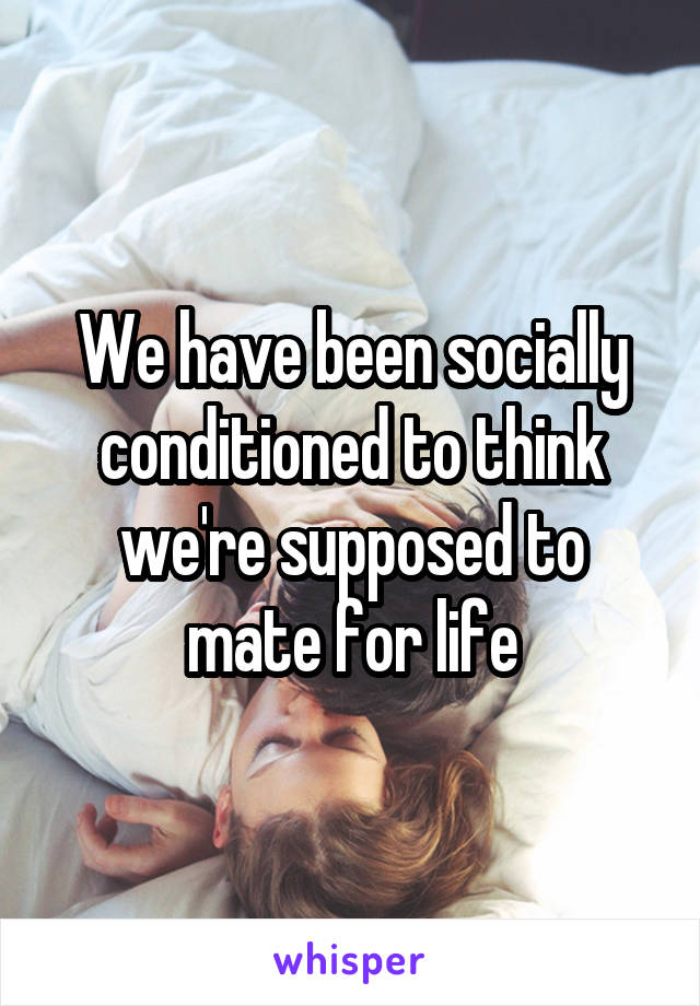 We have been socially conditioned to think we're supposed to mate for life
