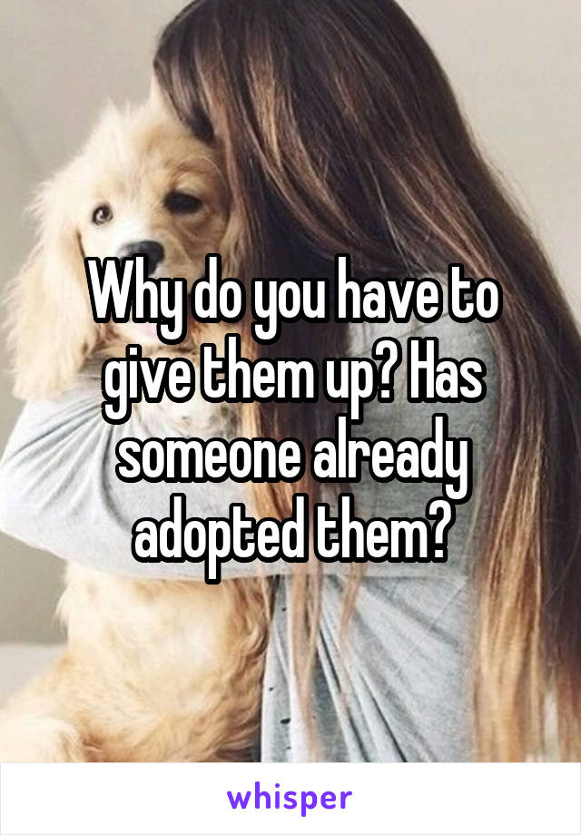 Why do you have to give them up? Has someone already adopted them?