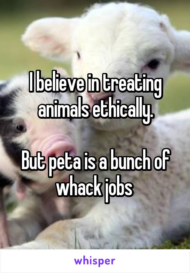 I believe in treating animals ethically.

But peta is a bunch of whack jobs 