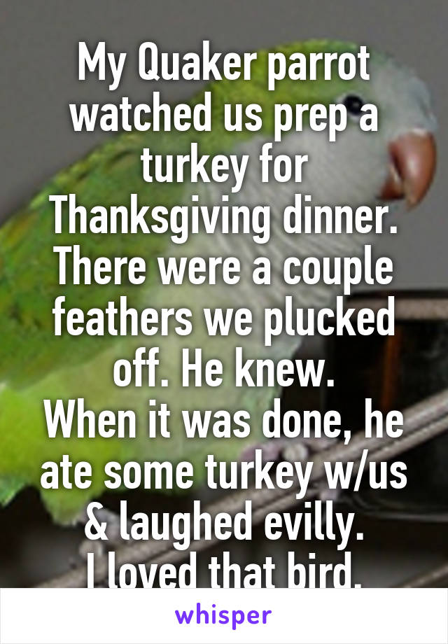 My Quaker parrot watched us prep a turkey for Thanksgiving dinner. There were a couple feathers we plucked off. He knew.
When it was done, he ate some turkey w/us & laughed evilly.
I loved that bird.