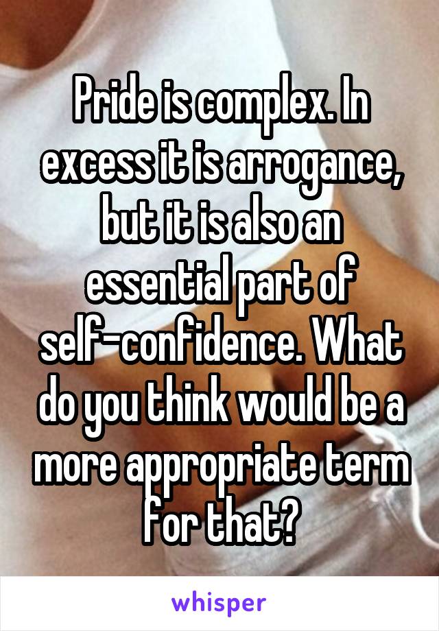 Pride is complex. In excess it is arrogance, but it is also an essential part of self-confidence. What do you think would be a more appropriate term for that?