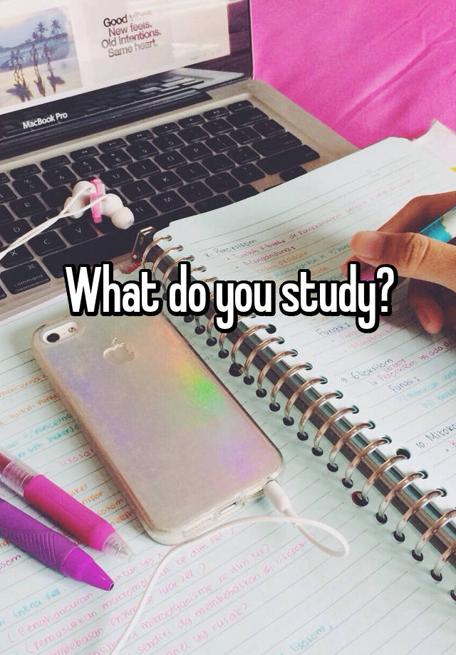 what-do-you-study