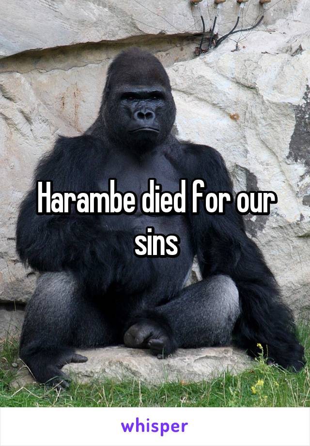 Harambe died for our sins
