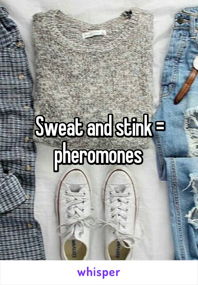 Sweat and stink = pheromones 