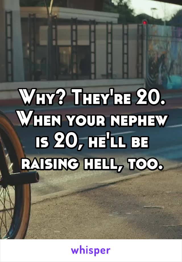 Why? They're 20. When your nephew is 20, he'll be raising hell, too.