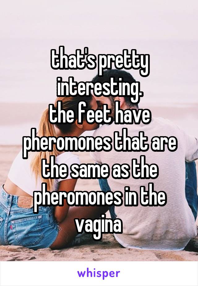 that's pretty interesting.
the feet have pheromones that are the same as the pheromones in the vagina 