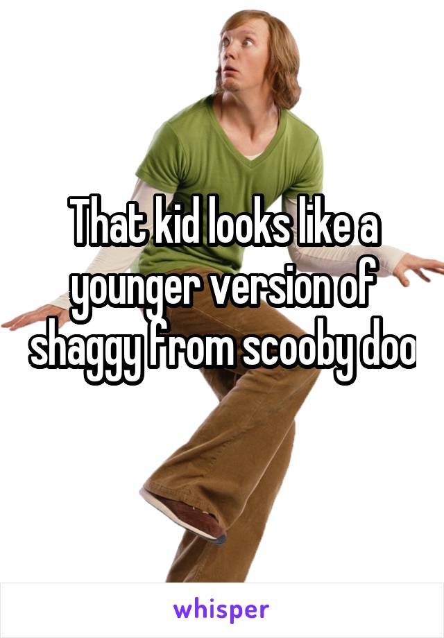 That kid looks like a younger version of shaggy from scooby doo 