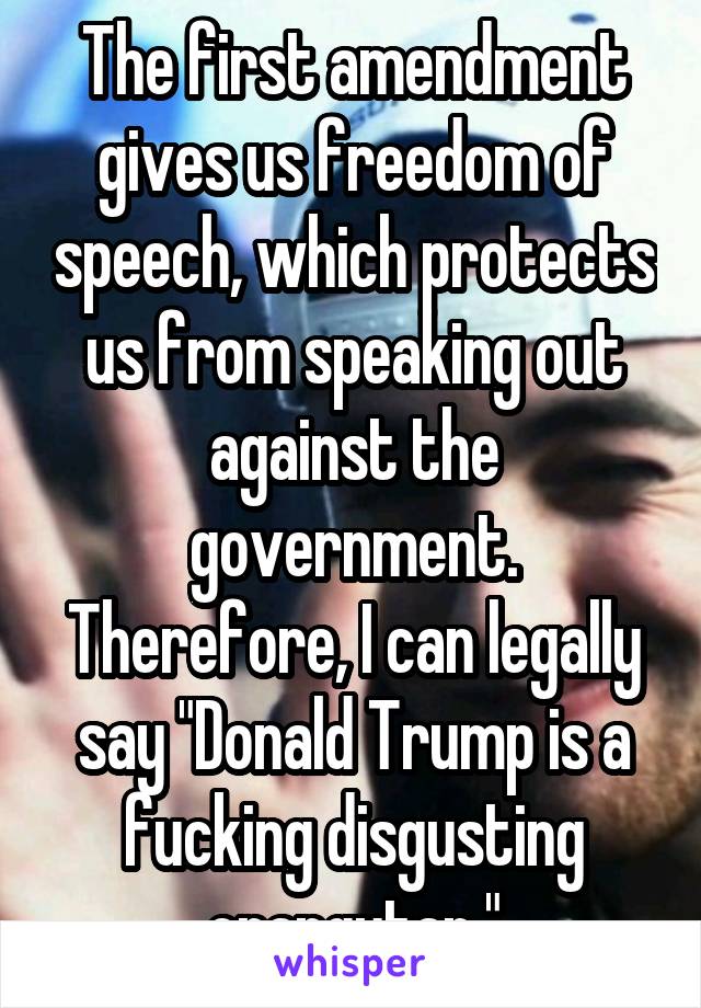 The first amendment gives us freedom of speech, which protects us from speaking out against the government. Therefore, I can legally say "Donald Trump is a fucking disgusting orangutan."