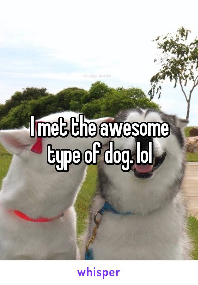 I met the awesome type of dog. lol