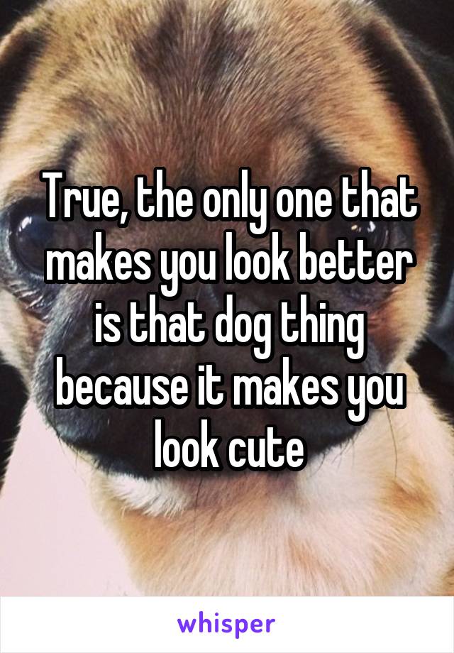 True, the only one that makes you look better is that dog thing because it makes you look cute