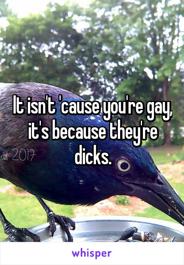 It isn't 'cause you're gay, it's because they're dicks.