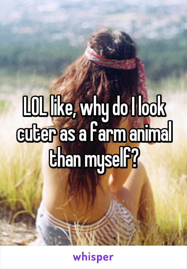 LOL like, why do I look cuter as a farm animal than myself?