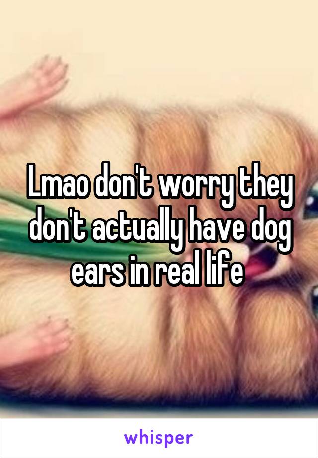 Lmao don't worry they don't actually have dog ears in real life 