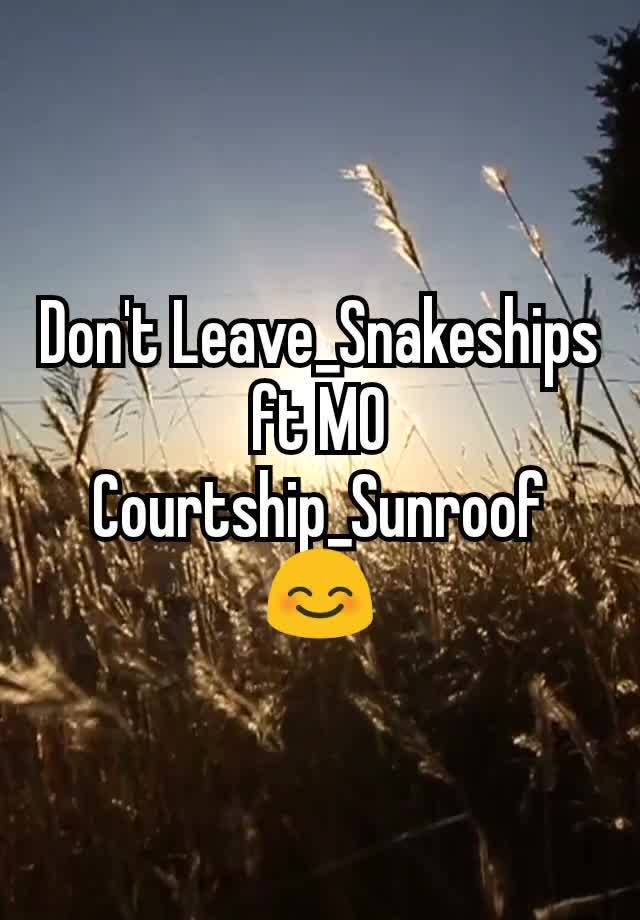 Don't Leave_Snakeships ft MO Courtship_Sunroof 😊