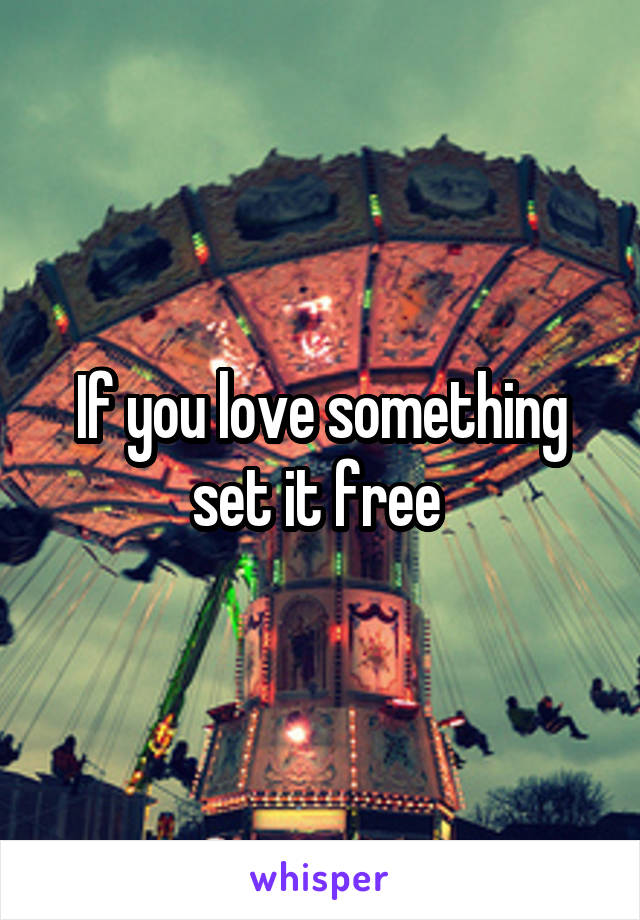If you love something set it free 