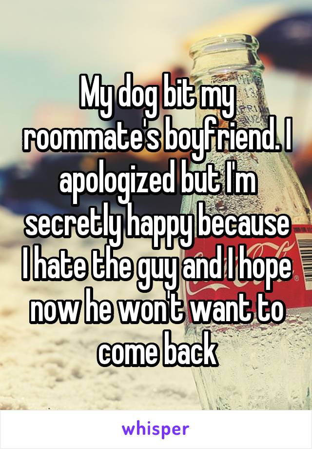 My dog bit my roommate's boyfriend. I apologized but I'm secretly happy because I hate the guy and I hope now he won't want to come back