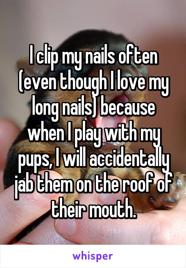 I clip my nails often (even though I love my long nails) because when I play with my pups, I will accidentally jab them on the roof of their mouth.