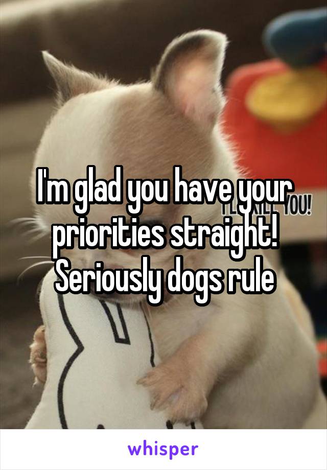 I'm glad you have your priorities straight! Seriously dogs rule