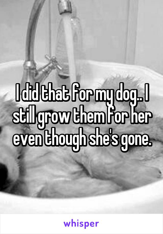 I did that for my dog.. I still grow them for her even though she's gone.