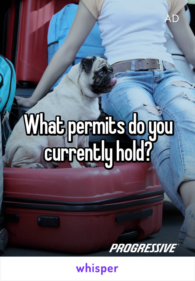 What permits do you currently hold?