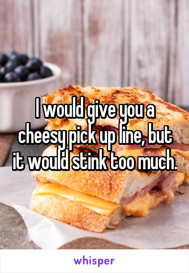 I would give you a cheesy pick up line, but it would stink too much.