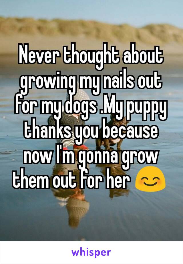 Never thought about growing my nails out for my dogs .My puppy thanks you because now I'm gonna grow them out for her 😊 