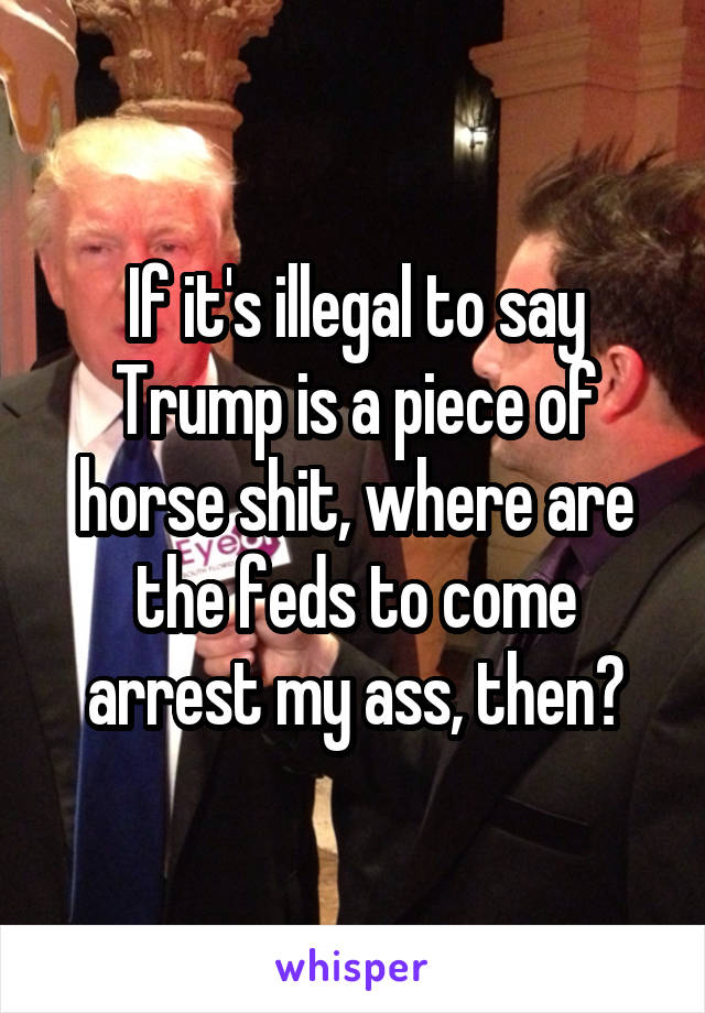 If it's illegal to say Trump is a piece of horse shit, where are the feds to come arrest my ass, then?