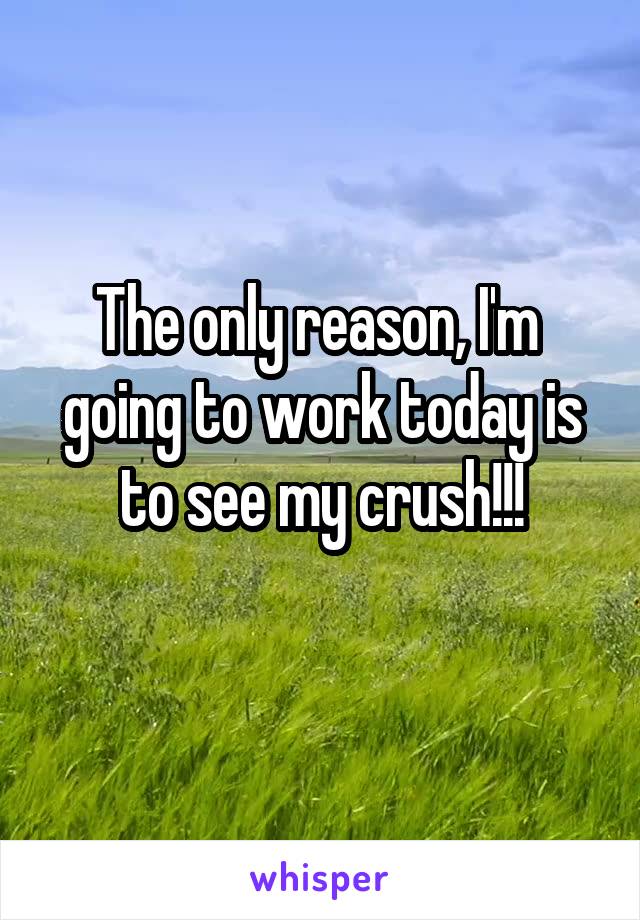 The only reason, I'm  going to work today is to see my crush!!!
