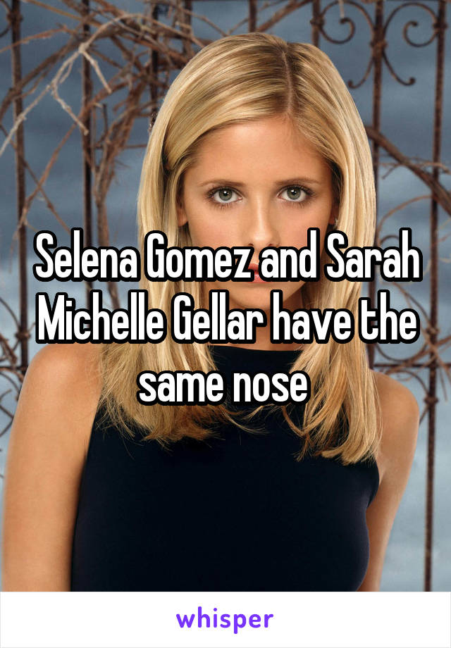 Selena Gomez and Sarah Michelle Gellar have the same nose 