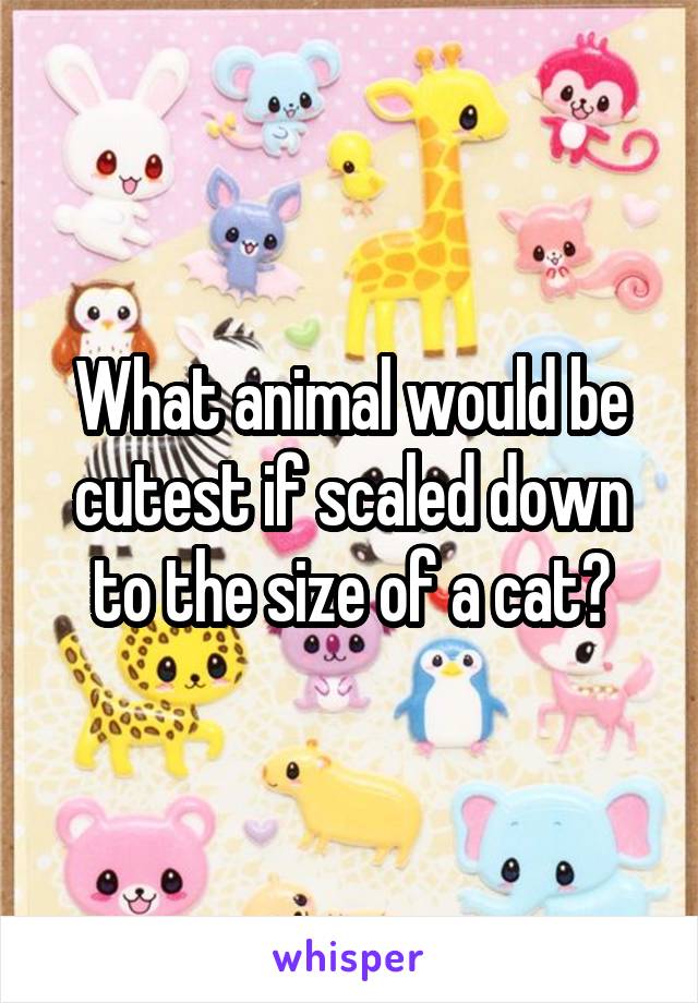 What animal would be cutest if scaled down to the size of a cat?